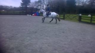 VID-20140105-00008