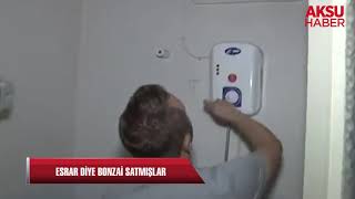 Esrar diye Bonzai sattılar...