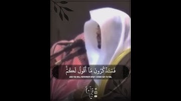 ﴿وَأُفَوِّضُ أَمري إِلَى اللَّهِ﴾ ياسر الدوسري من سورة غافر ، جامع الدخيل 🤍..