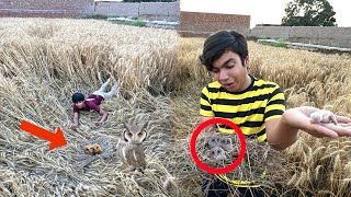 Owl Ka Baby Rescue Kr Lea 🦉Jungle Sy 😱