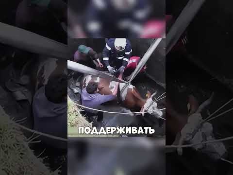 ПОЛ-СЕЛА боролись за ЖИЗНЬ КОРОВЫ😥🔥🐮