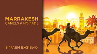 Marrakesh с Camels & Nomads дополнением — Играем вживую
