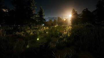 Cabin in the Woods - World Machine to Unreal Engine 4