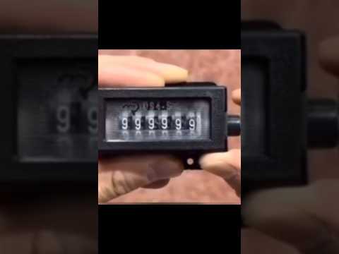 999999’dan Sonra Tatlı Bir Son #kuşbey #birds #budgie #countup #gerisayım #countdown #ilerisayım