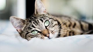 Arya | Matt Jones Photography