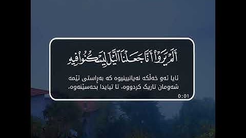 سعد الغامدي حالات واتس اب دينية سورة النمل 🥺🦋