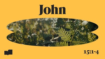 Verses - John 15:1-4 (Official Lyric Video)