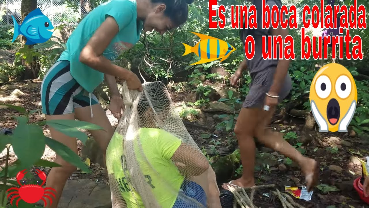 roxana ac odyssey 2-Roxana agarro algo con la atarraya ya salio la sopa😱.Pescando.P/2