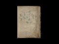 Manuscrito Voynich - Todas las páginas escaneadas en HD - lenguaje no descifrado