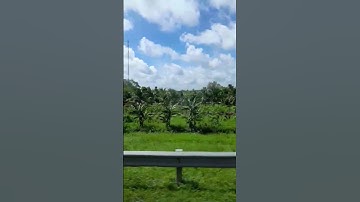 Cảnh đẹp trên dốc cầu Vàm Cống | Nhớ Đăng Kí Kênh Mình Nhe