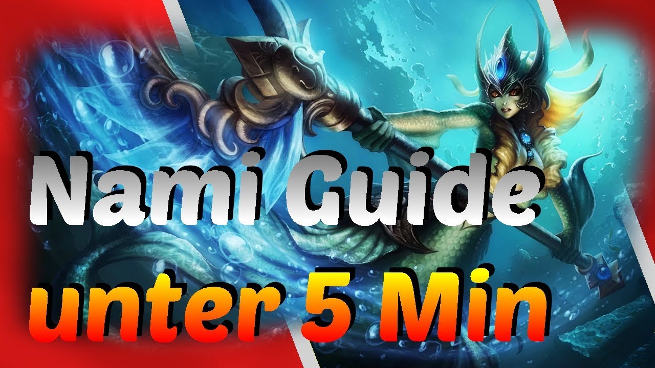 📕 Nami Guide in unter 5 Minuten Support German