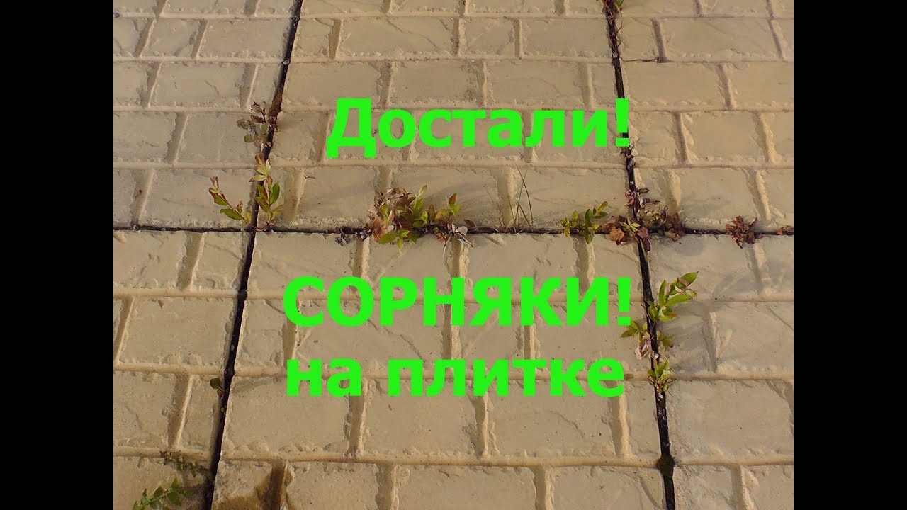 Методы устранения роста травы