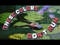 Topwater Frog Colors that CATCH BASS