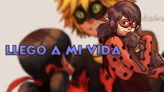 GATITO PERDIDO  (Película Completa) | Miraculous Ladybug Comic Español.