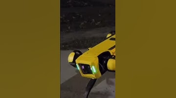 What is this self-walking Robot doing on my street? #ai #techinnovation #deeplearning #automation