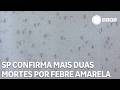 Estado de São Paulo confirma mais duas mortes por febre amarela