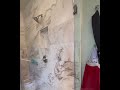 Shower Clean Transformation 🚿✨ | Remove Soap Scum & Mold | Aurora & Newmarket