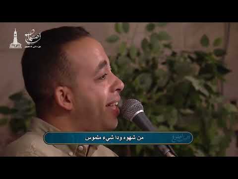 شبعي فيك بيتر ساويرس 3   