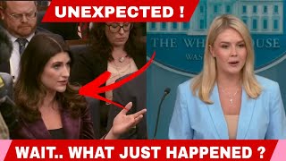 Press Secretary Karoline Leavitt Epic Clapback Shuts Down Reporter Instantly || USA Today News