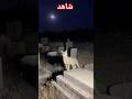 ظهور جن في المقابر شاهد جن اكسبلور لايك اشتراك