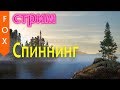 Спиннинговый стрим. Русская рыбалка 4