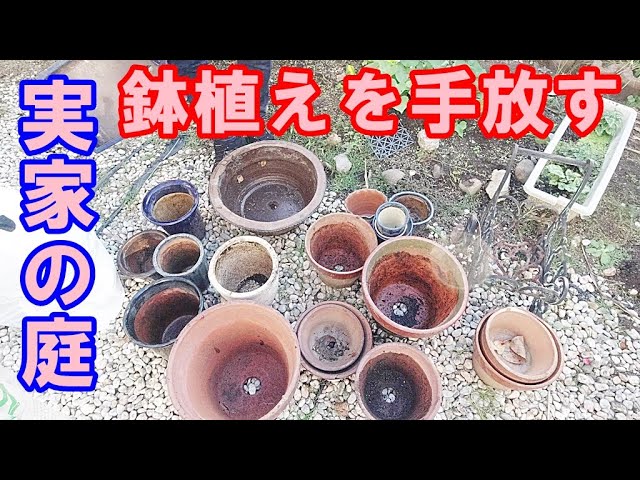 実家の庭の片付け】管理できない鉢植えを手放しローメンテナンスな庭に