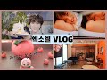 카이 솔로 컴백 카운트다운ㅣ덕질 브이로그ㅣ엑소엘 (KAI solo &quot;Peaches&quot; comeback exol kai&#39;s fan vlog)