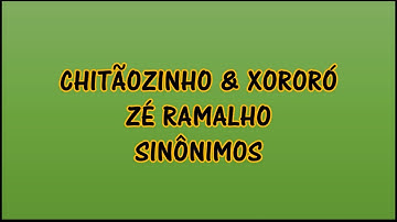 Chitãozinho & Xororó, Zé Ramalho - Sinônimos Lyrics | (Letra en Portugués) | (Traducida al Español)
