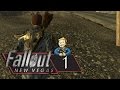 WP Fallout New Vegas Episode 1 - Headache