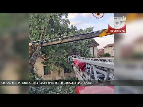 GROSSO ALBERO CADE SU UNA CASA, FAMIGLIA TERRORIZZATA | 26/08/2025