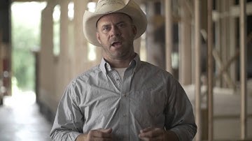 Reclaimed Space, Question to the Community