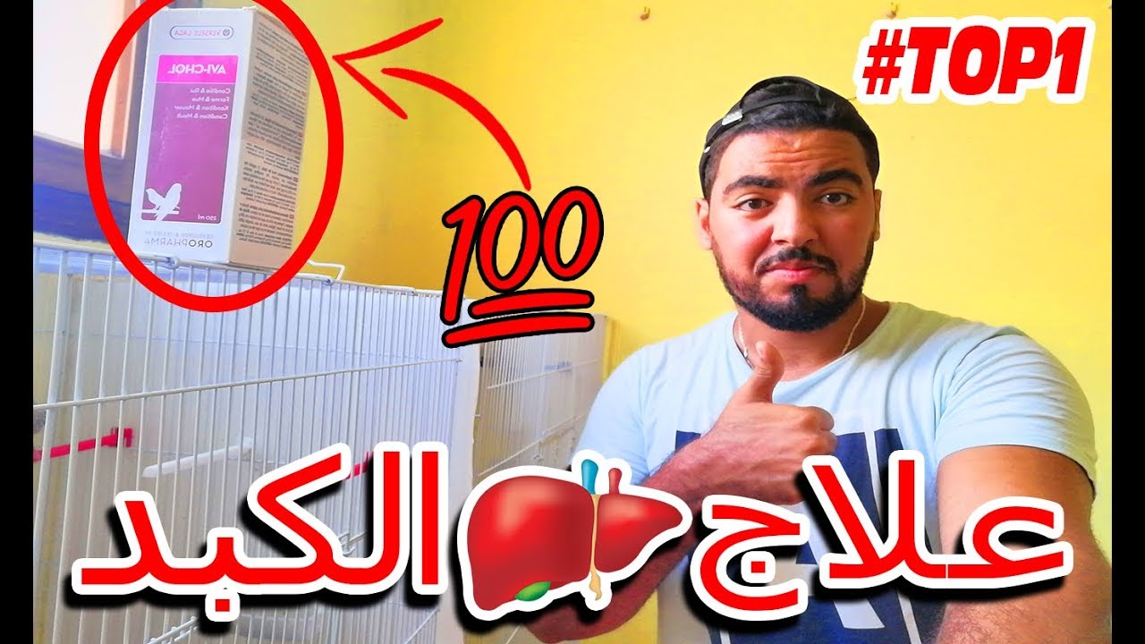 احسن طريقة ل علاج مرض الكبد عند الكناري و الحسون 💊💉 💯