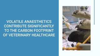 Who Knew? 20% of a Veterinary Practice's Scope 1 & 2 Emissions Are Caused By Anaesthetic Gases