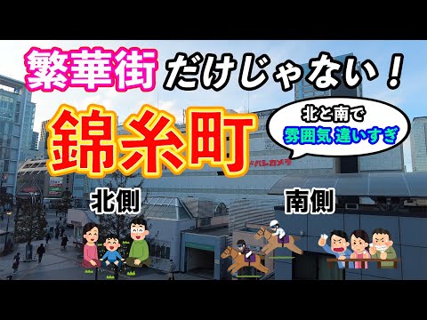 【繁華街だけじゃない！】新・住みやすい街 錦糸町【北と南で雰囲気違いすぎ】