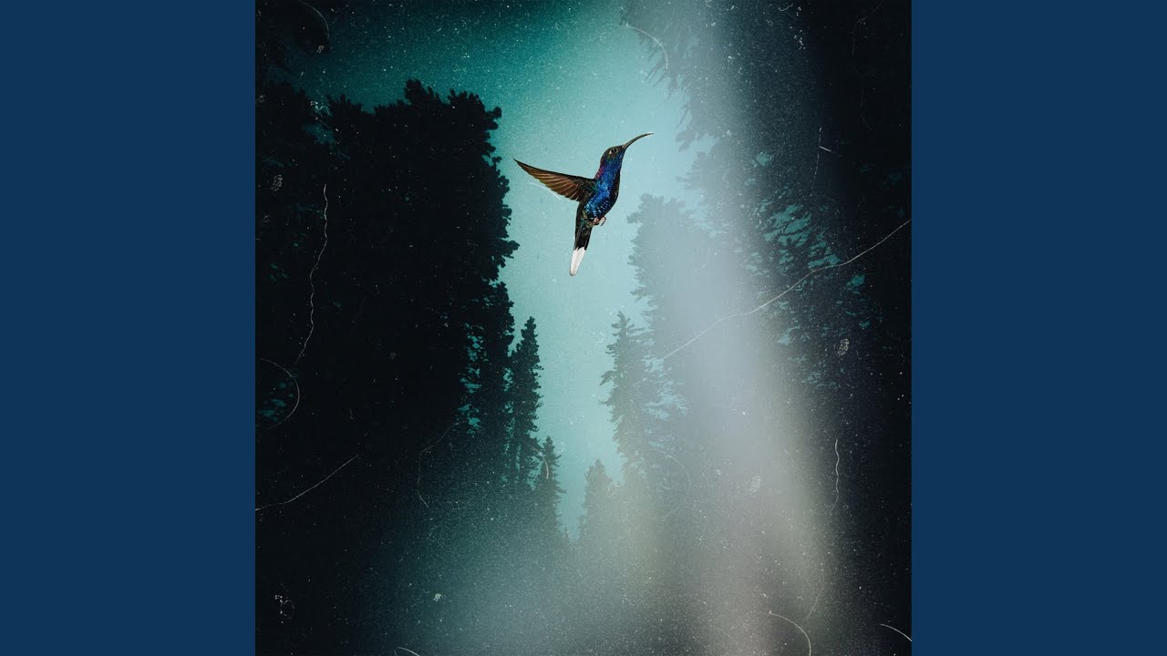 hold-you-back-youtube