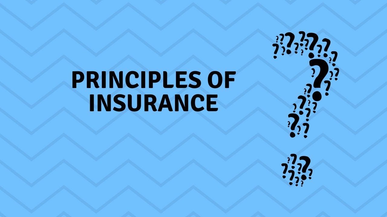 insurance Principles principles of insurance and its meaning YouTube