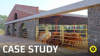 Inside an 8-Acre Gaushala for 400 Cows in Maharashtra! (Case Study)