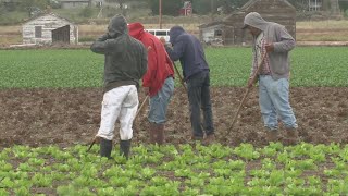 Famous Breaking down the debate over changing overtime rules for Colorado farm workers Profile