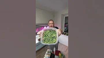 КАКАЯ МИКРОЗЕЛЕНЬ САМАЯ ВКУСНАЯ - МИКРОЗЕЛЕНЬ ДОМА - БИЗНЕС ИДЕИ - БИЗНЕС С НУЛЯ НА ДОМУ