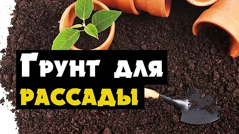 Грунт для рассады, как смешать землю (своими руками)