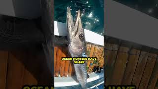 Top 5 Most Dangerous Fishes in the World #DeadlyFishes #OceanFacts #WildlifeDanger