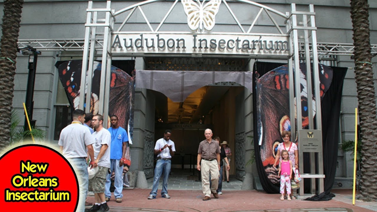 AUDUBON INSECTARIUM in NEW ORLEANS TOUR Audubon Butterfly Garden