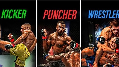 the best UFC Fighters By Fighting Style