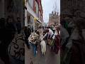 My dog pulling crowds compilation!! #doglover #viral #dogs #pets #crowds #famous #violasnow