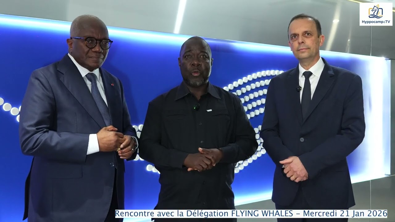 Transport aérien innovant de marchandises proposée par Flying Whales au port de San Pedro