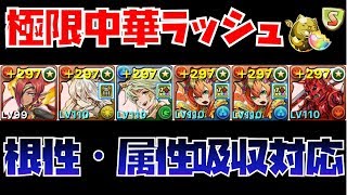 パズドラ 潜在たまドラ スキル遅延耐性取り放題 極限中華ラッシュソロ周回編成 モモタロス 列マドゥ 極限降臨ラッシュイベント Youtube