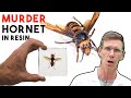 Murder Hornet Insect Resin Casting | How To