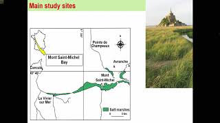 Julien Petillon: Ecology, conservation and functioning of European salt marshes
