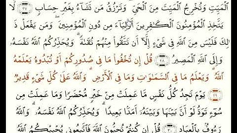 3 // سورة ال عمران بصوة رائع تخشع له القلوب