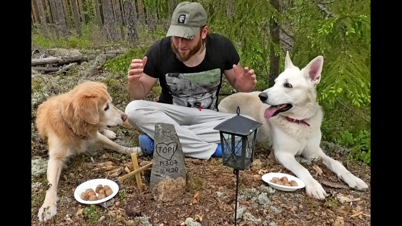 Meatball eating contest part III YouTube